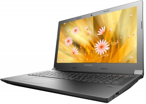 Ноутбук Lenovo IdeaPad B5030 15.6 1366x768, Intel Celeron N2840 2.16GHz, 2Gb, 500Gb, DVD-RW, Wi-Fi, BT, Cam, Win8.1, черный (59443413)