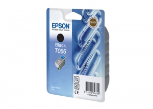 Картридж EPSON T066 черный (C13T06614010)