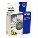 Набор картриджей EPSON T017402 двойной (T017402)